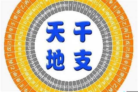 金水八字|八字金水是哪些(八字喜金水是什么意思)